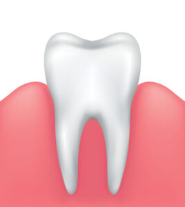 dente sano